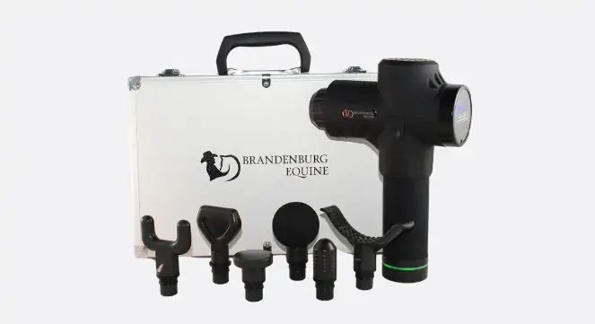 Brandenburg massage gun for horses