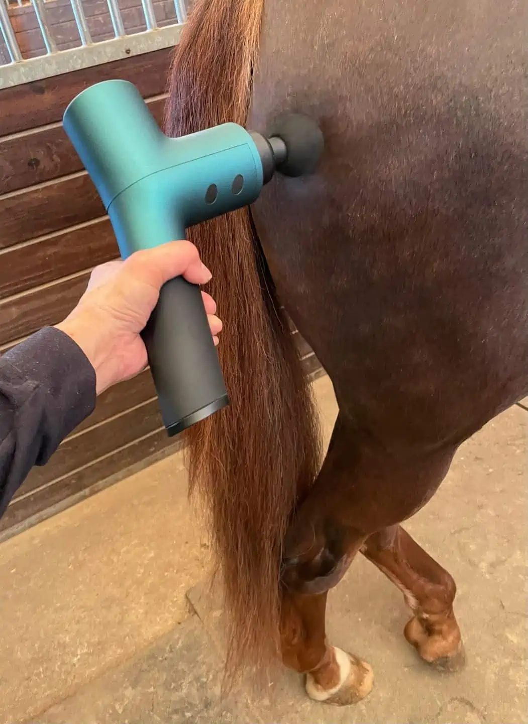 Equine Massage Therapy Equipment