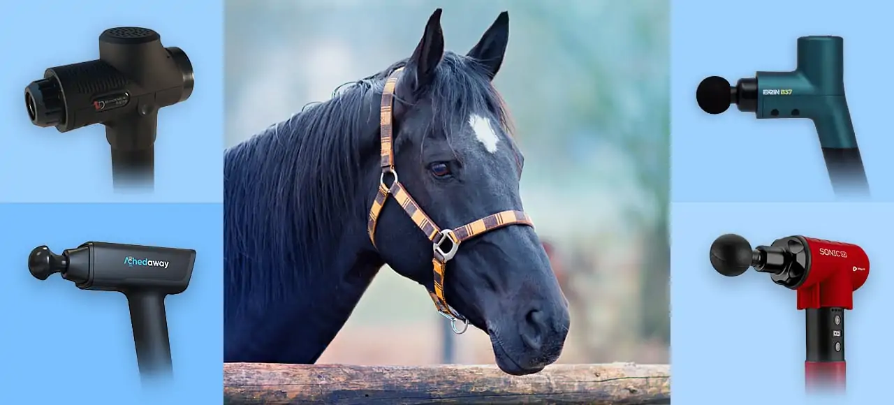 equine massage gun